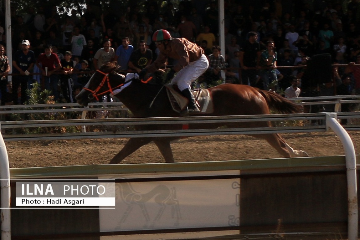 تصاویر: هفته اول مسابقات اسب دوانی فصل تابستان ۱۴۰۱ تهران