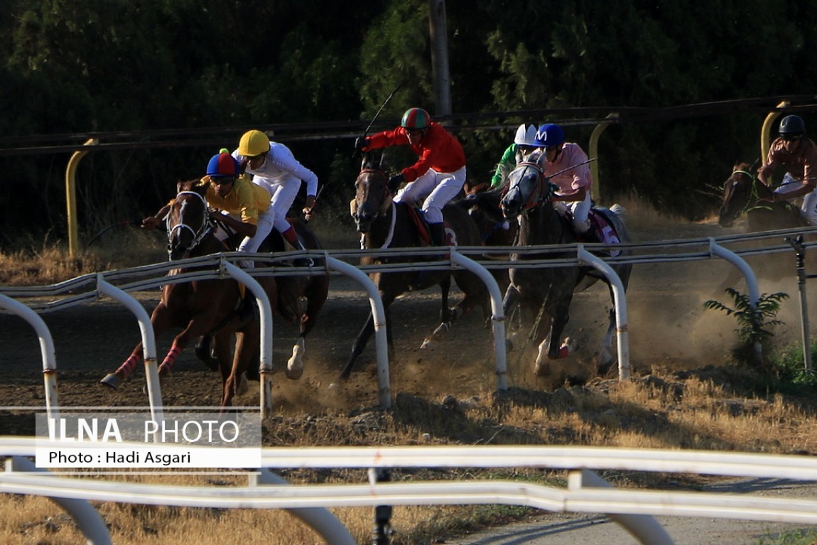 تصاویر: هفته اول مسابقات اسب دوانی فصل تابستان ۱۴۰۱ تهران