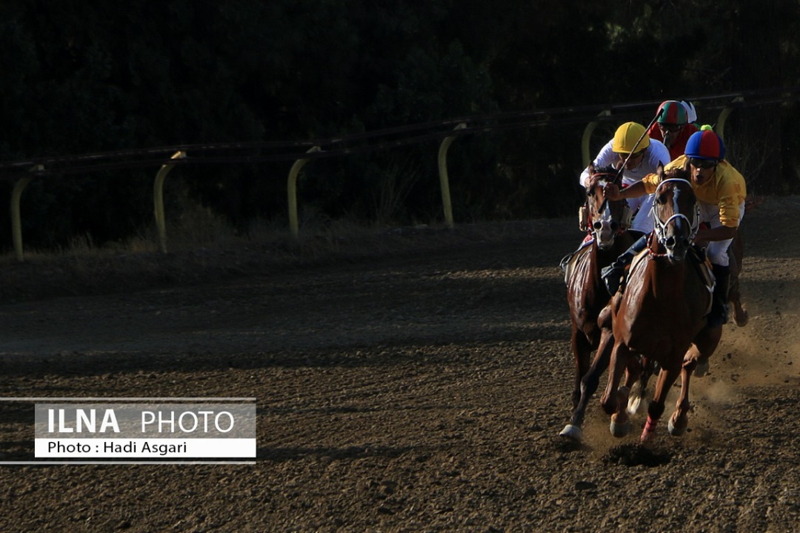 تصاویر: هفته اول مسابقات اسب دوانی فصل تابستان ۱۴۰۱ تهران