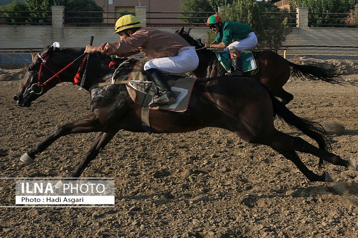 تصاویر: هفته اول مسابقات اسب دوانی فصل تابستان ۱۴۰۱ تهران