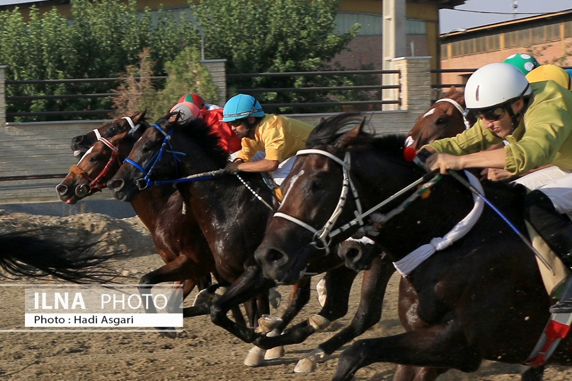 تصاویر: هفته اول مسابقات اسب دوانی فصل تابستان ۱۴۰۱ تهران