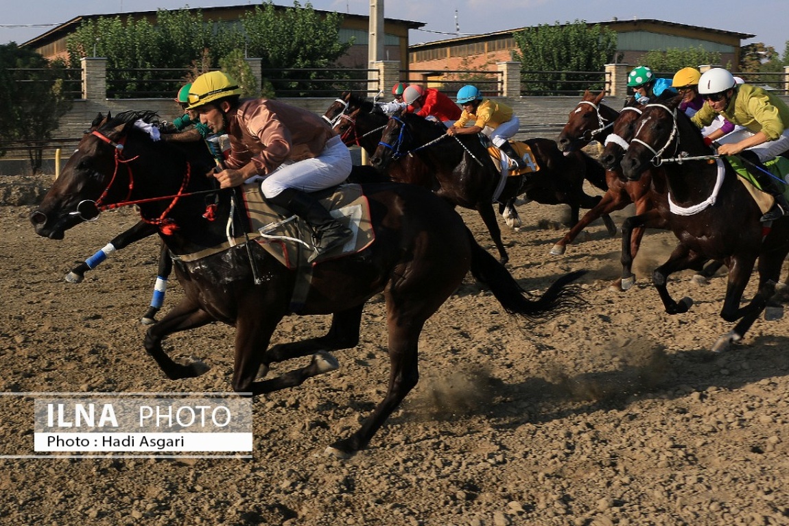 تصاویر: هفته اول مسابقات اسب دوانی فصل تابستان ۱۴۰۱ تهران