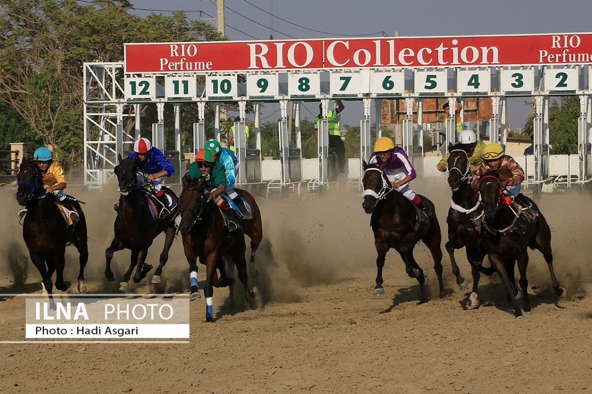 تصاویر: هفته اول مسابقات اسب دوانی فصل تابستان ۱۴۰۱ تهران