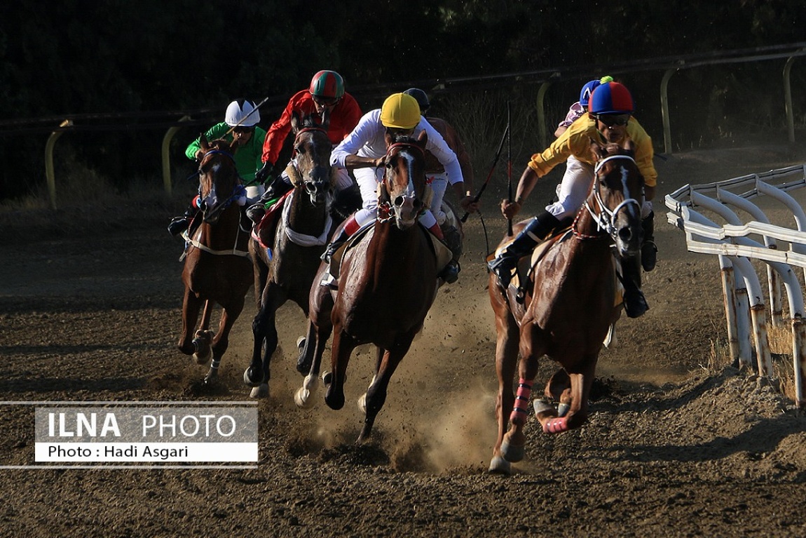 تصاویر: هفته اول مسابقات اسب دوانی فصل تابستان ۱۴۰۱ تهران