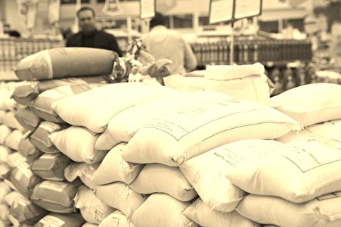 بازار برنج در شرایط رکود قرار گرفته؛ خرید و فروش متوقف شده است