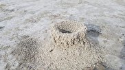 ویدیو /  پدیده عجیب از لانه‌سازی مورچگان در دریاچه بختگان