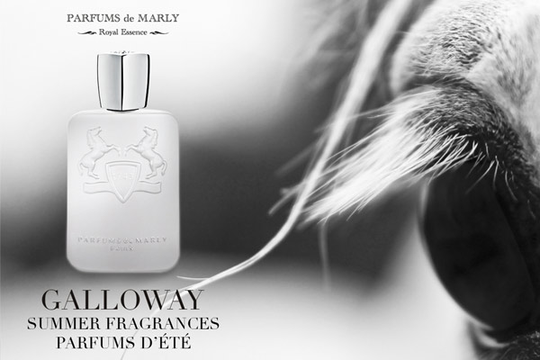 ۵ عطر خنک معروف مردانه را بشناسید ۵ عطر خنک معروف مردانه را بشناسید