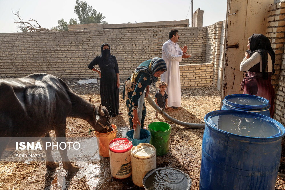 تصاویر: آبرسانی با تانکر به روستاهای درگیر تنش آبی در حمیدیه- خوزستان
