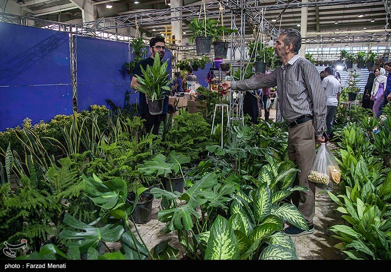 تصاویر: نمایشگاه گل و گیاه در کرمانشاه