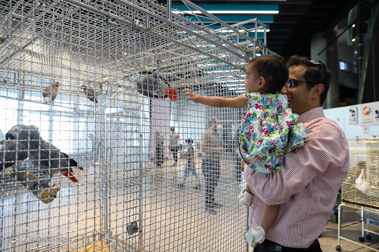 تصاویر: نمایشگاه پرندگان زینتی - برج میلاد