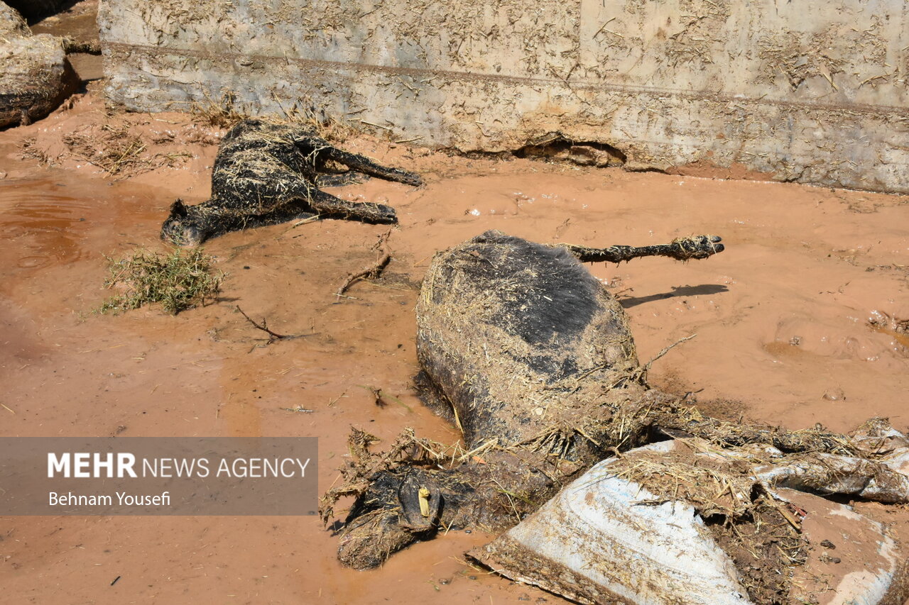 تصاویر: وضعیت بحرانی روستای&zwnj;های سیل&zwnj;زده اراک
