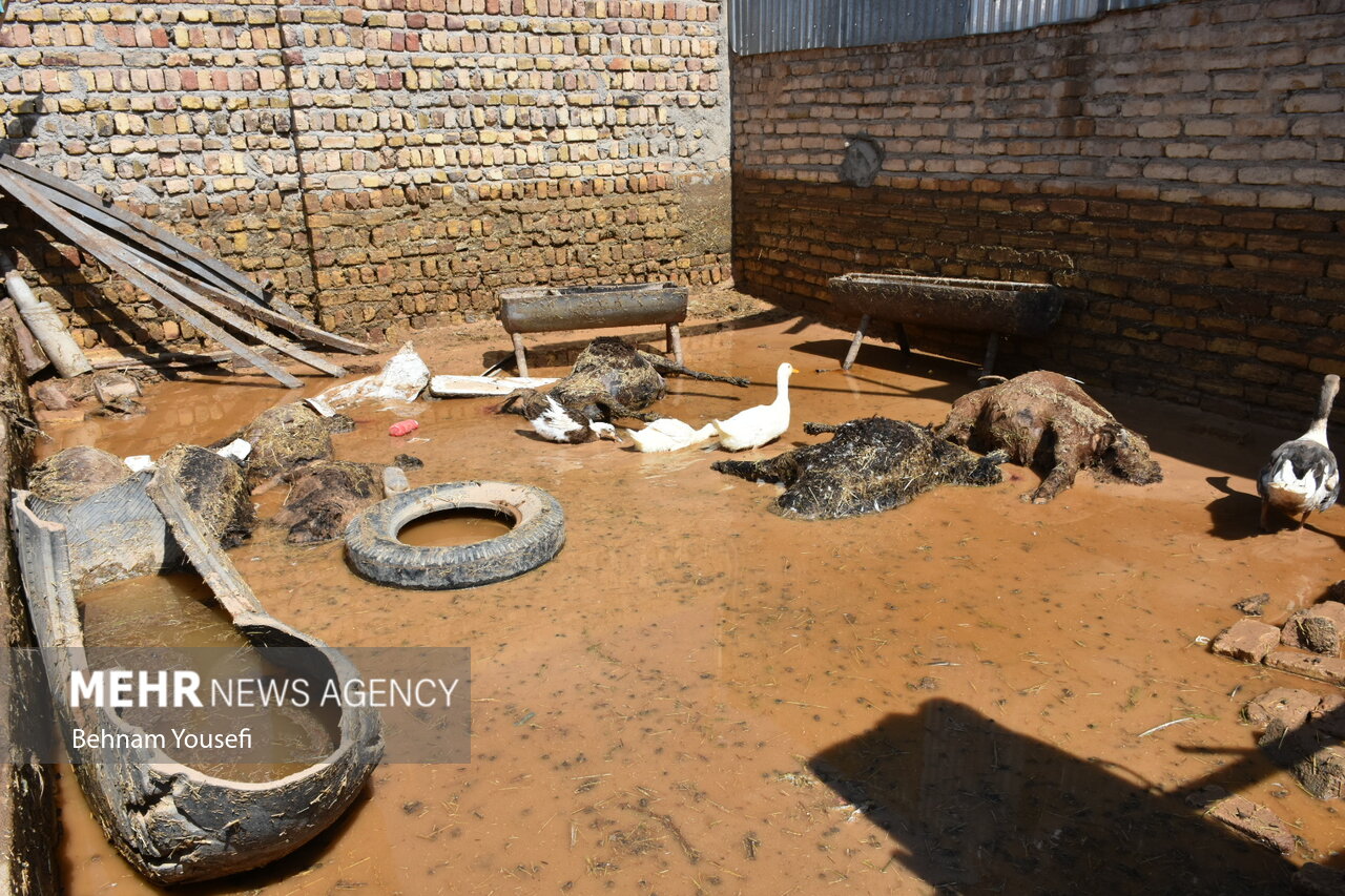 تصاویر: وضعیت بحرانی روستای&zwnj;های سیل&zwnj;زده اراک