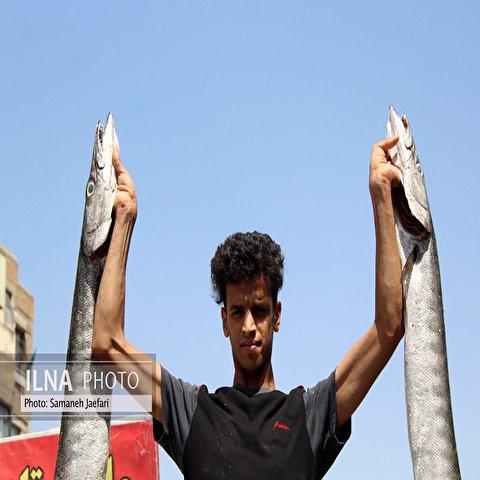 تصاویر: شهرک عرب‌های مشهد