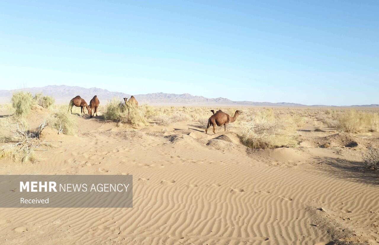 تصاویر: &laquo;چاله شرقی&raquo; پیوند آسمان و زمین در دل کویر