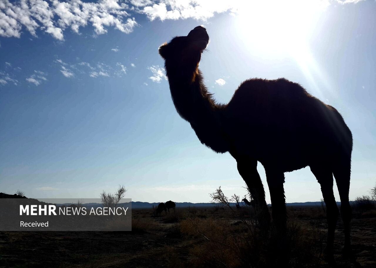 تصاویر: &laquo;چاله شرقی&raquo; پیوند آسمان و زمین در دل کویر