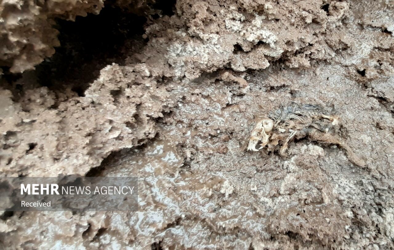 تصاویر: &laquo;چاله شرقی&raquo; پیوند آسمان و زمین در دل کویر