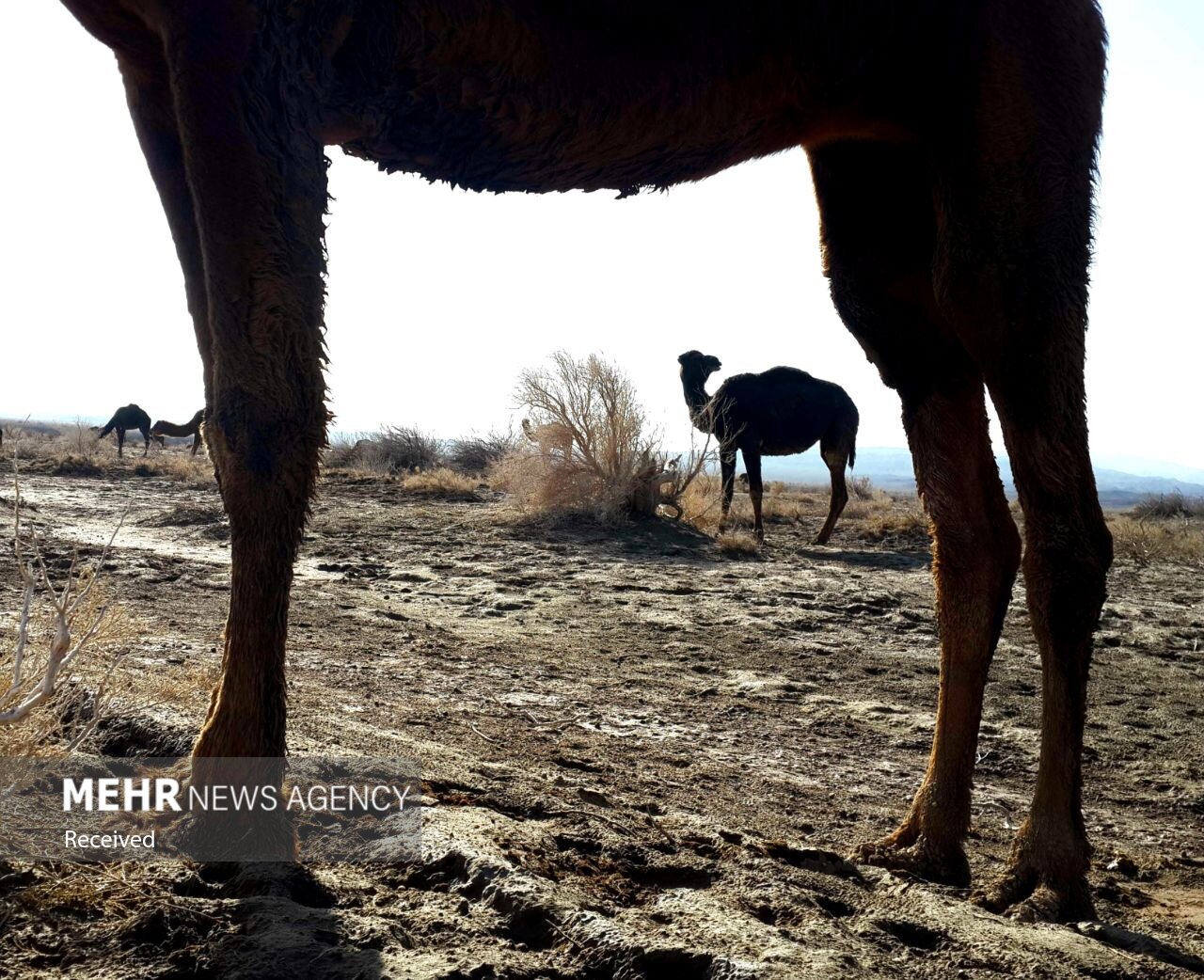 تصاویر: &laquo;چاله شرقی&raquo; پیوند آسمان و زمین در دل کویر