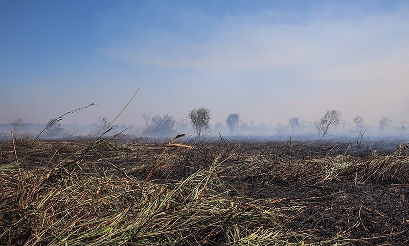 مهار کامل آتش‌سوزی در تالاب بین‌المللی انزلی/ پایش نقطه به نقطه تالاب ادامه دارد + تصاویر