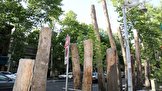 صدور رأی غیرعمد برای قطع درختان مجموعه انقلاب