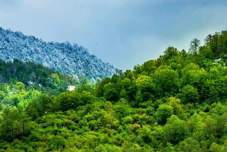 کاهش دما در شمال کشور/ ورود گرد و خاک از غرب