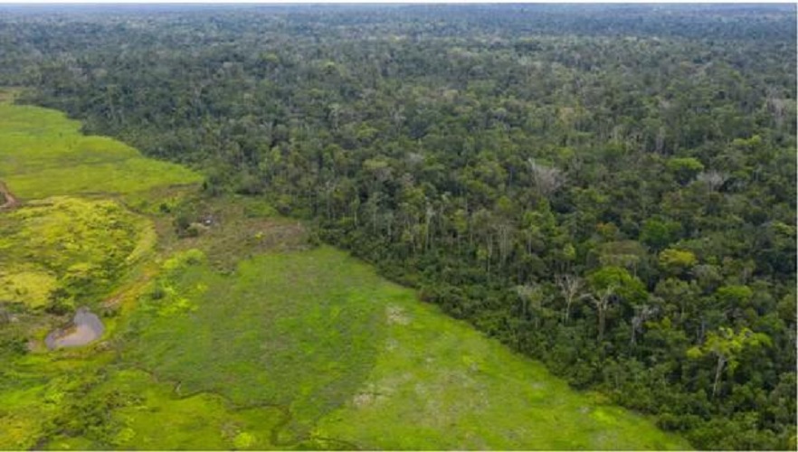 آخرین عضو یک قبیلۀ «قتل‌عام شده» در آمازون درگذشت
