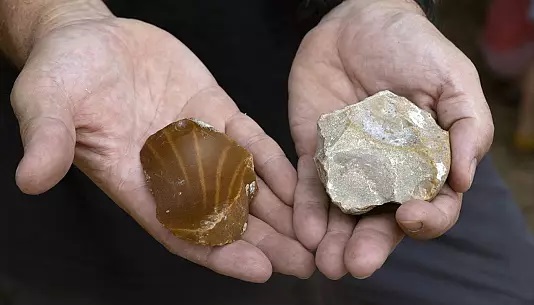 عاج فیل ماقبل تاریخ در اسرائیل کشف شد