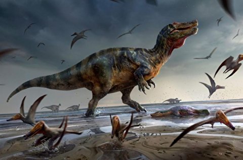 دانشمندان چینی: دایناسورها پیش از انقراض هم رو به انحطاط بوده‌اند