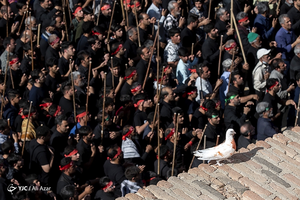 تصاویر: برگزاری مراسم سنتی قالی شویان در اردهال کاشان