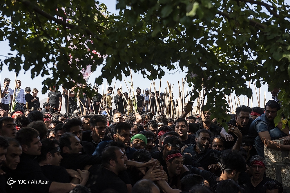 تصاویر: برگزاری مراسم سنتی قالی شویان در اردهال کاشان
