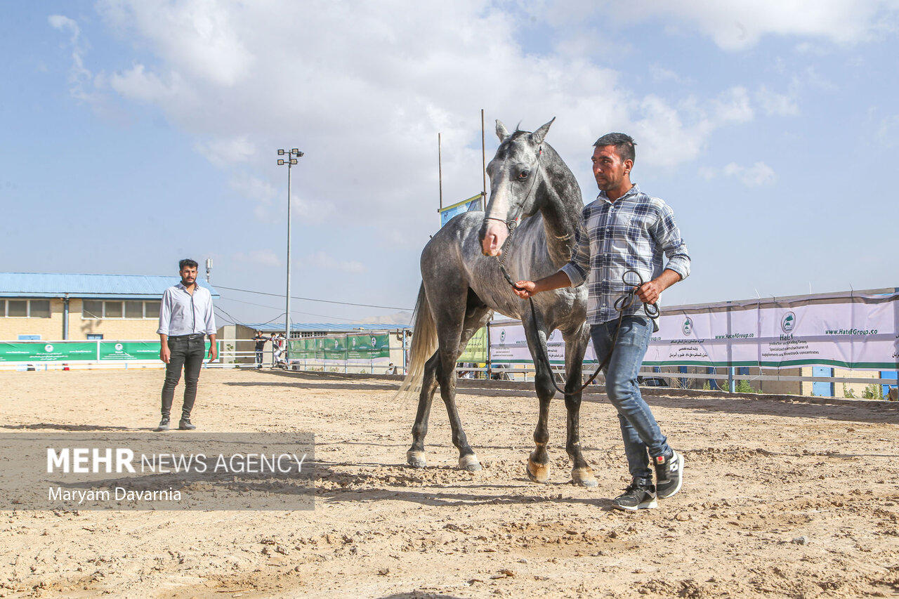 تصاویر: نخستین همایش ملی سلیمی‌های ترکمن