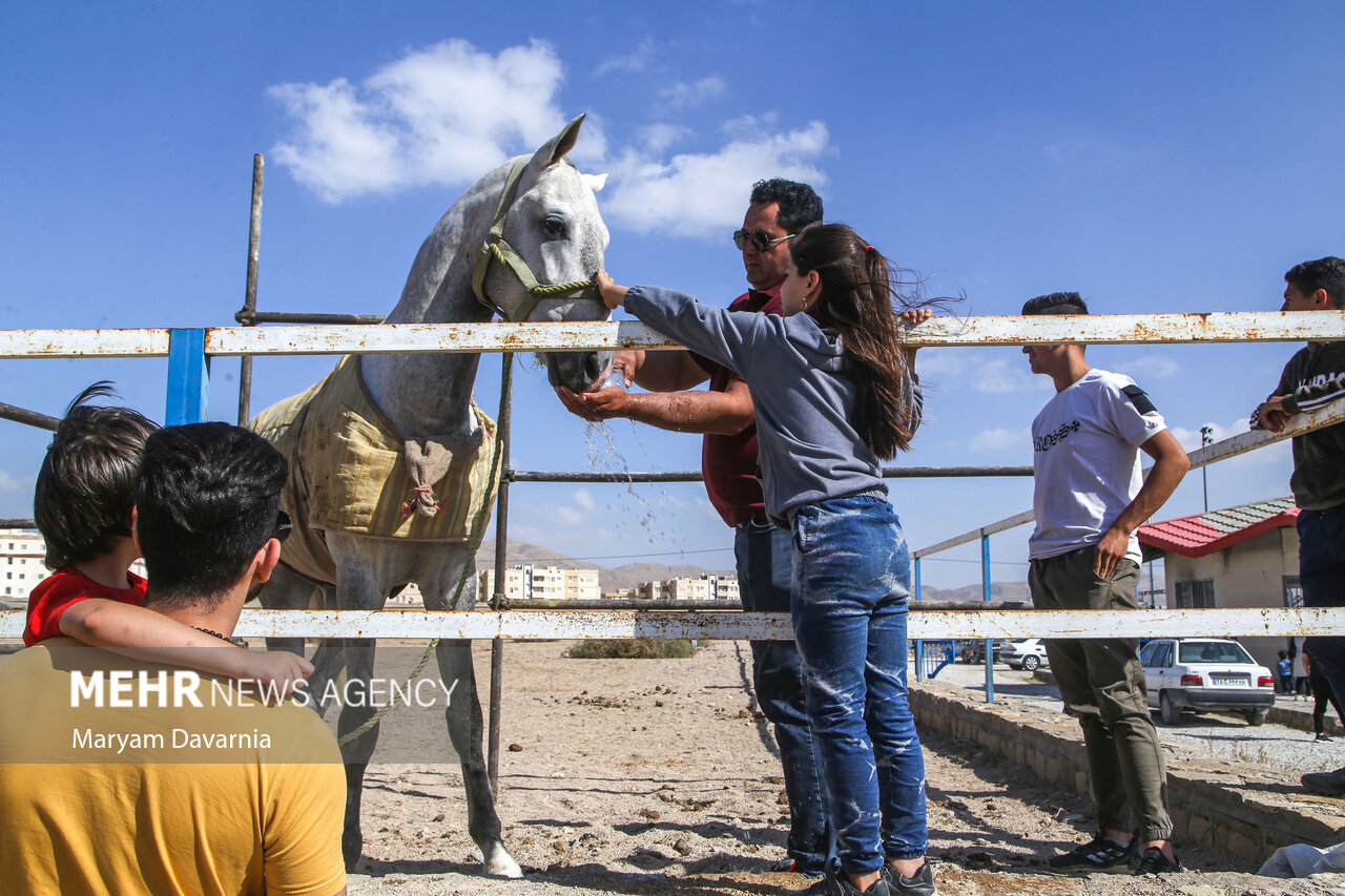تصاویر: نخستین همایش ملی سلیمی‌های ترکمن