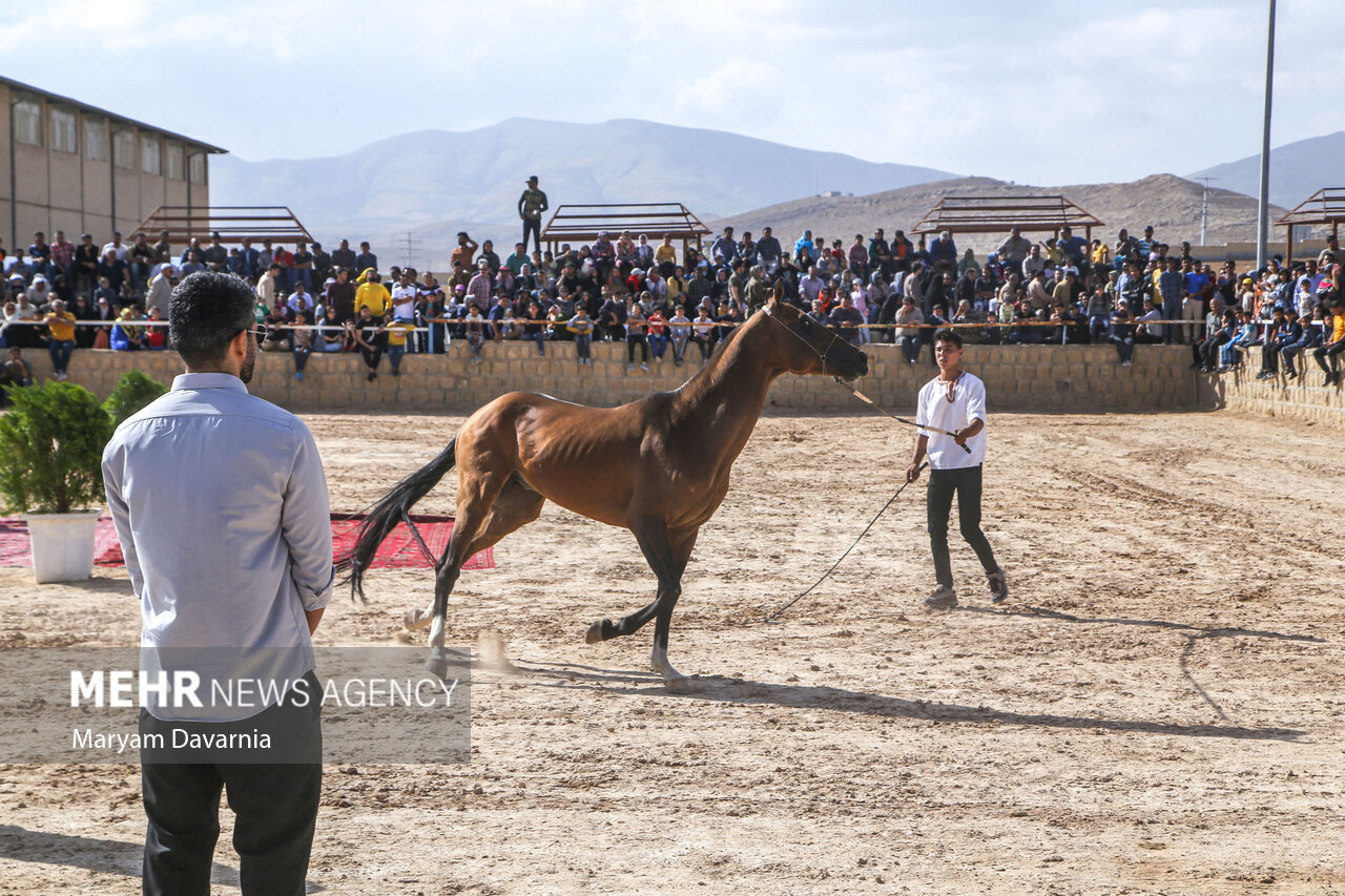 تصاویر: نخستین همایش ملی سلیمی‌های ترکمن