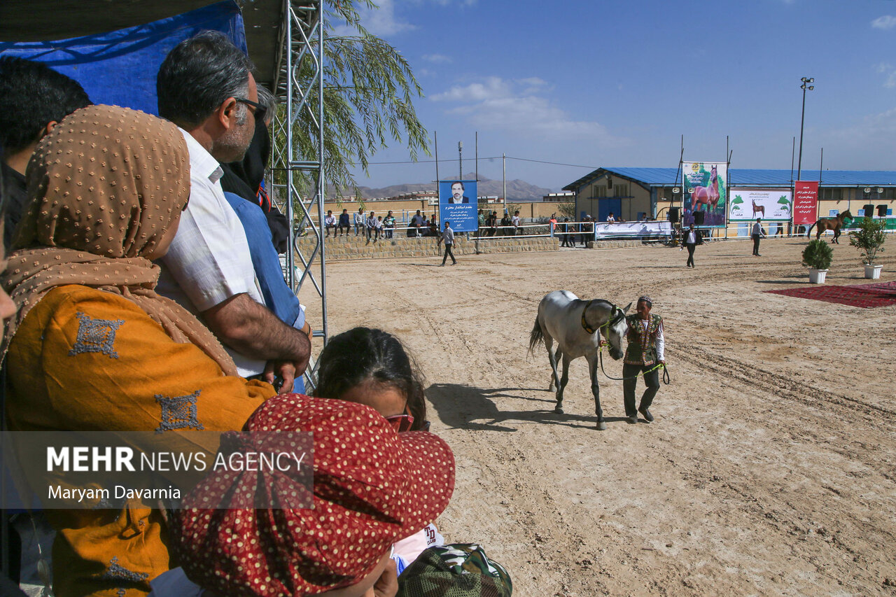 تصاویر: نخستین همایش ملی سلیمی‌های ترکمن