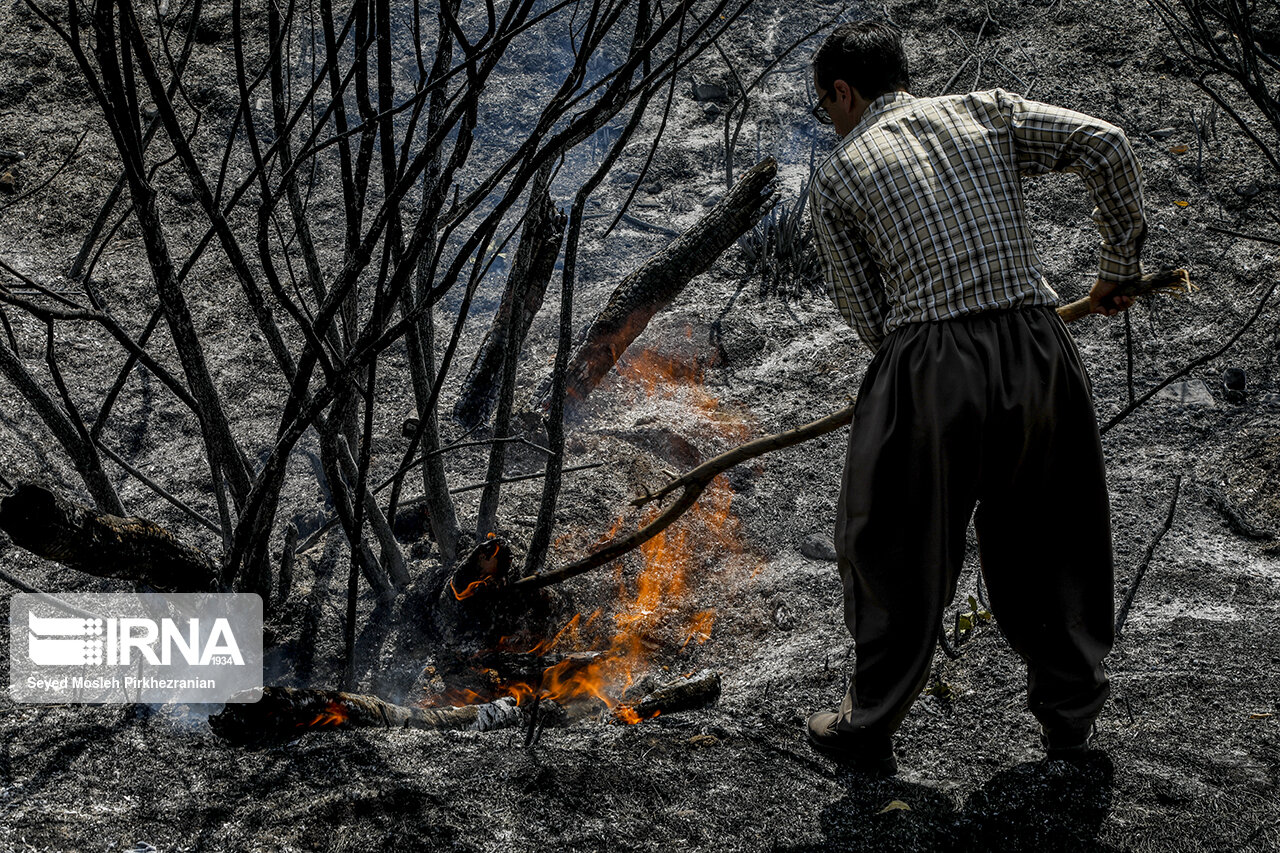 تصاویر: آتش سوزی در پارک جنگلی آبیدر