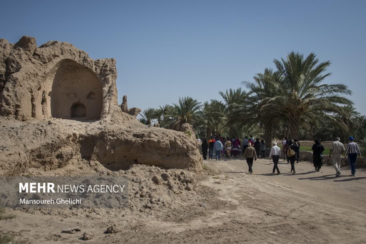 تصاویر: جشنواره گردشگری نخل و خرما