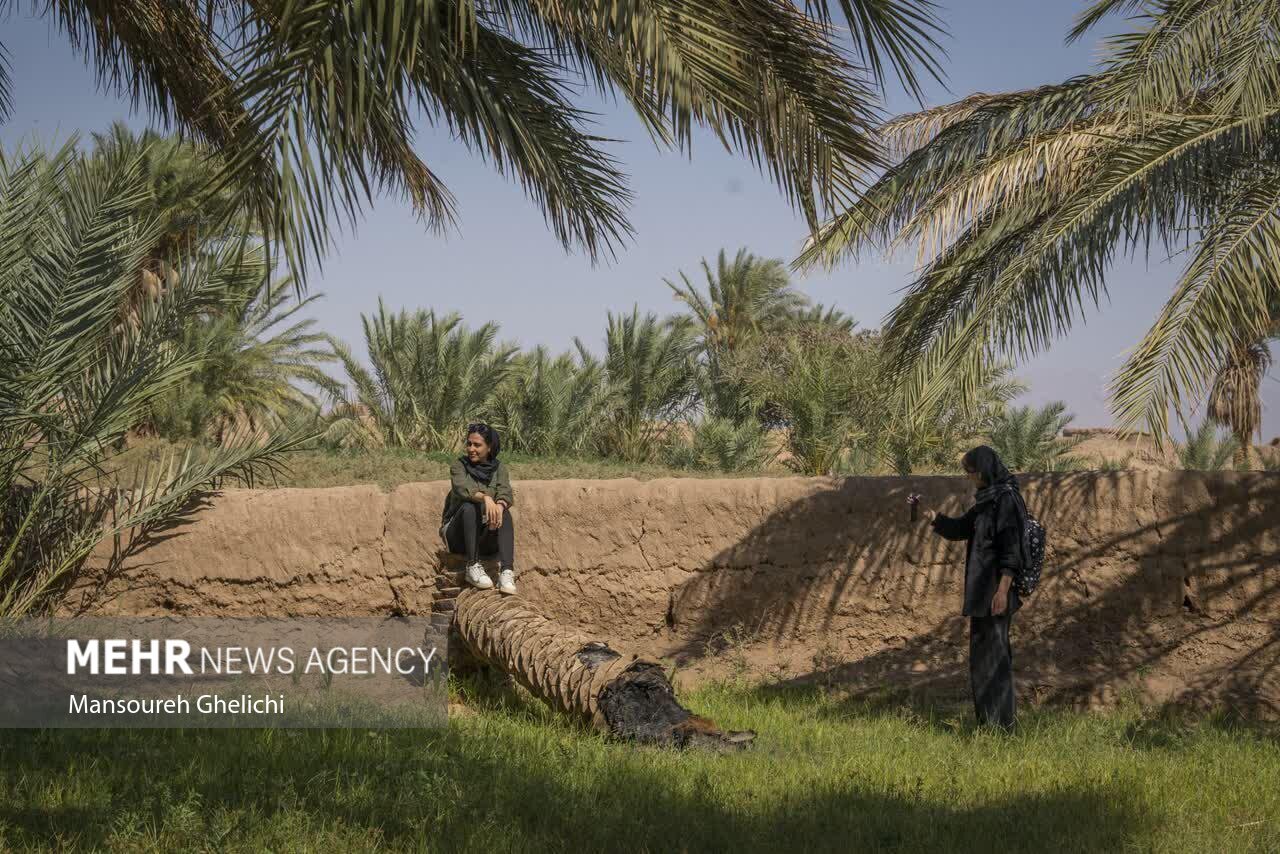 تصاویر: جشنواره گردشگری نخل و خرما