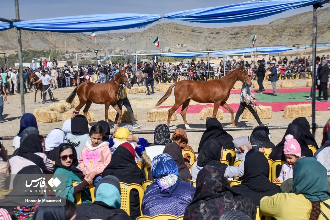 تصاویر: جشنواره ملی « اسب اصیل ترکمن»