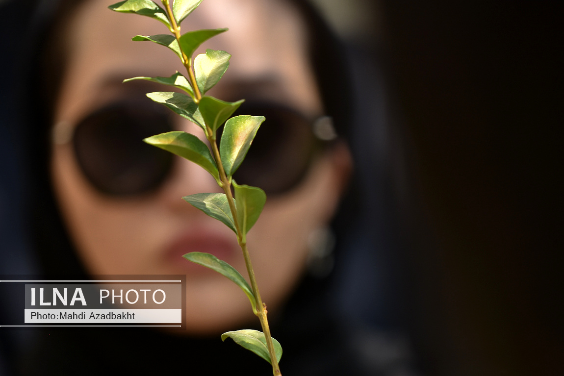 تصاویر: مراسم تشییع پیکر امین تارخ