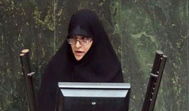 1335693 648 - لاجوردی، نماینده مجلس: اغتشاشات با هدف تاثیرگذاری بر دستاوردهای سفر به نیویورک برنامه ریزی شده