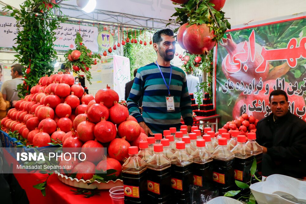 تصاویر: جشنواره انار ساوه