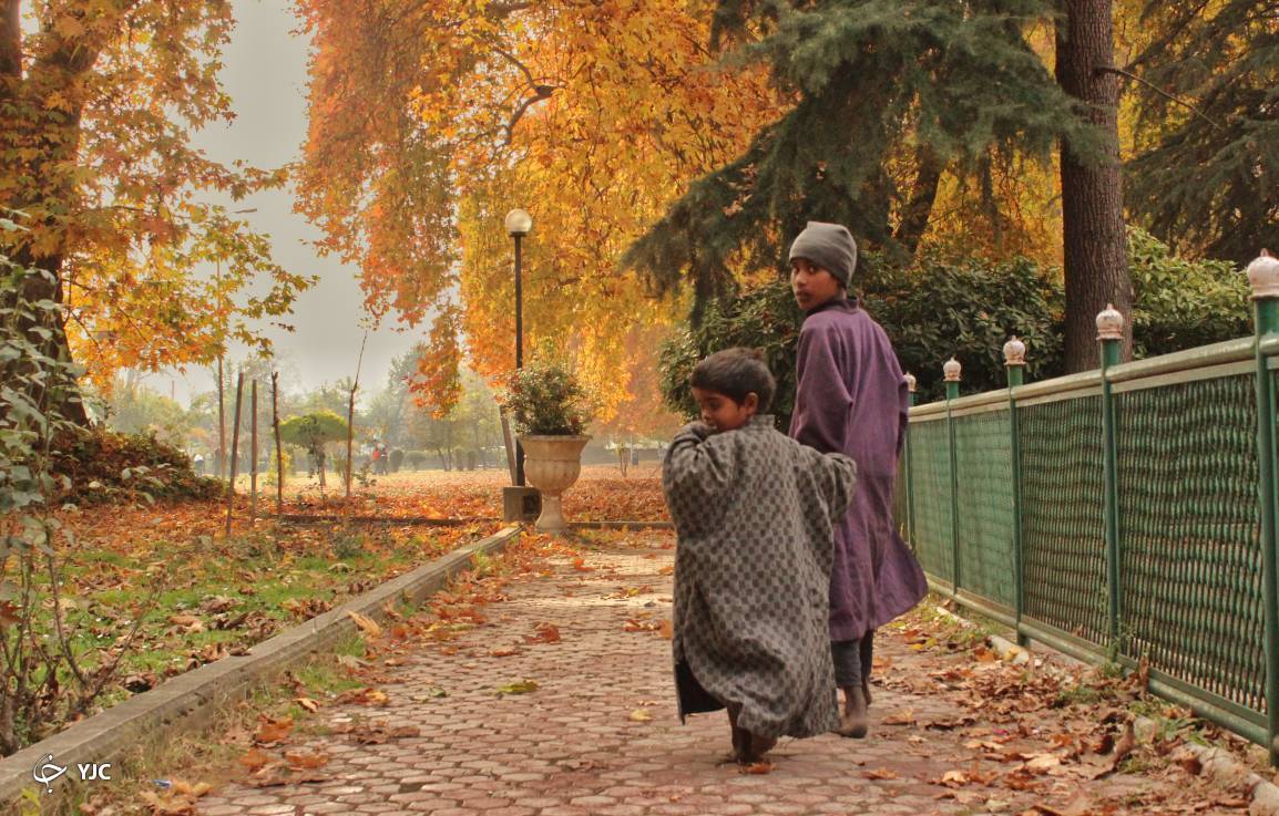 تصاویر: پاییز زیبا در کشمیر