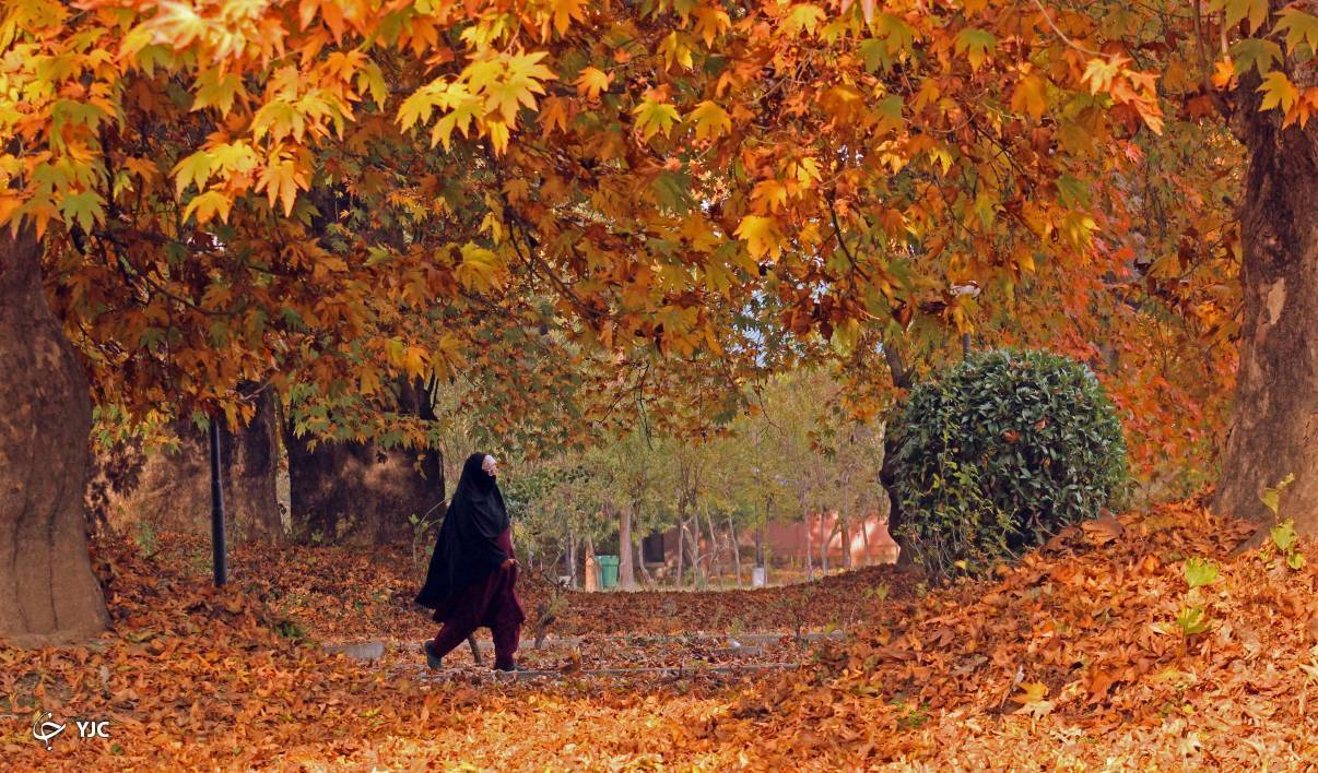 تصاویر: پاییز زیبا در کشمیر