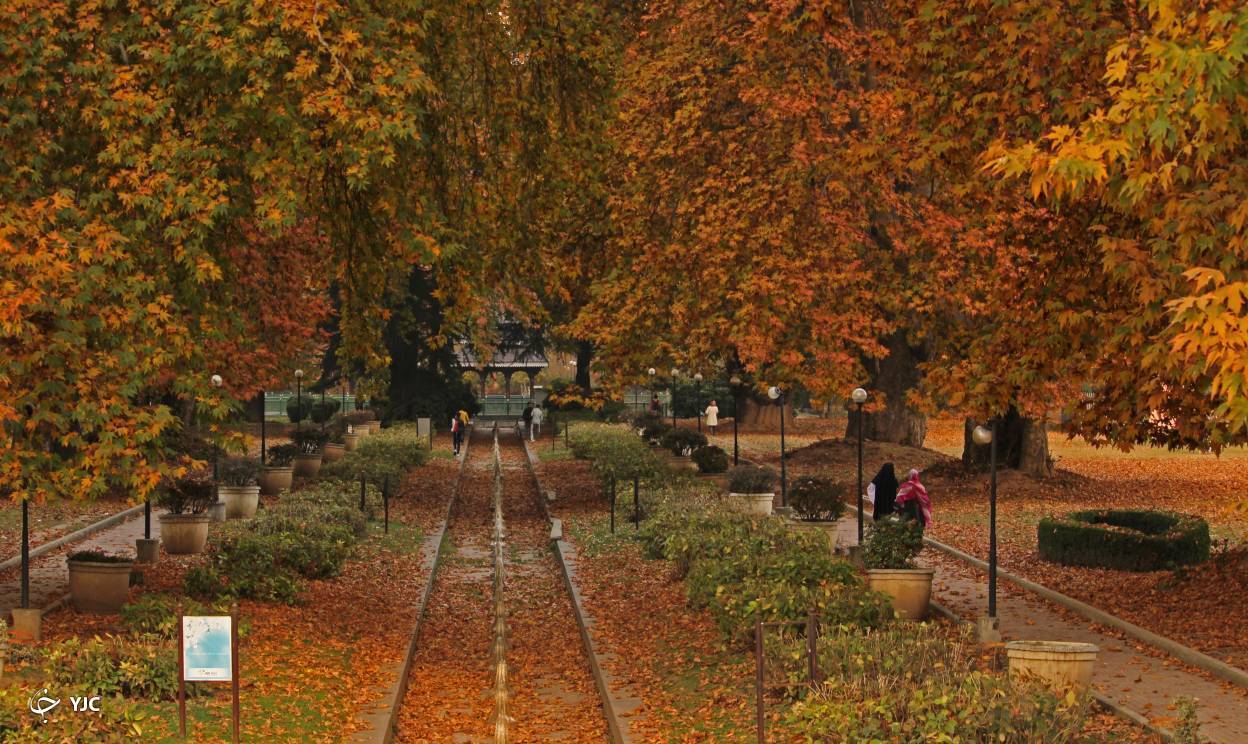 تصاویر: پاییز زیبا در کشمیر