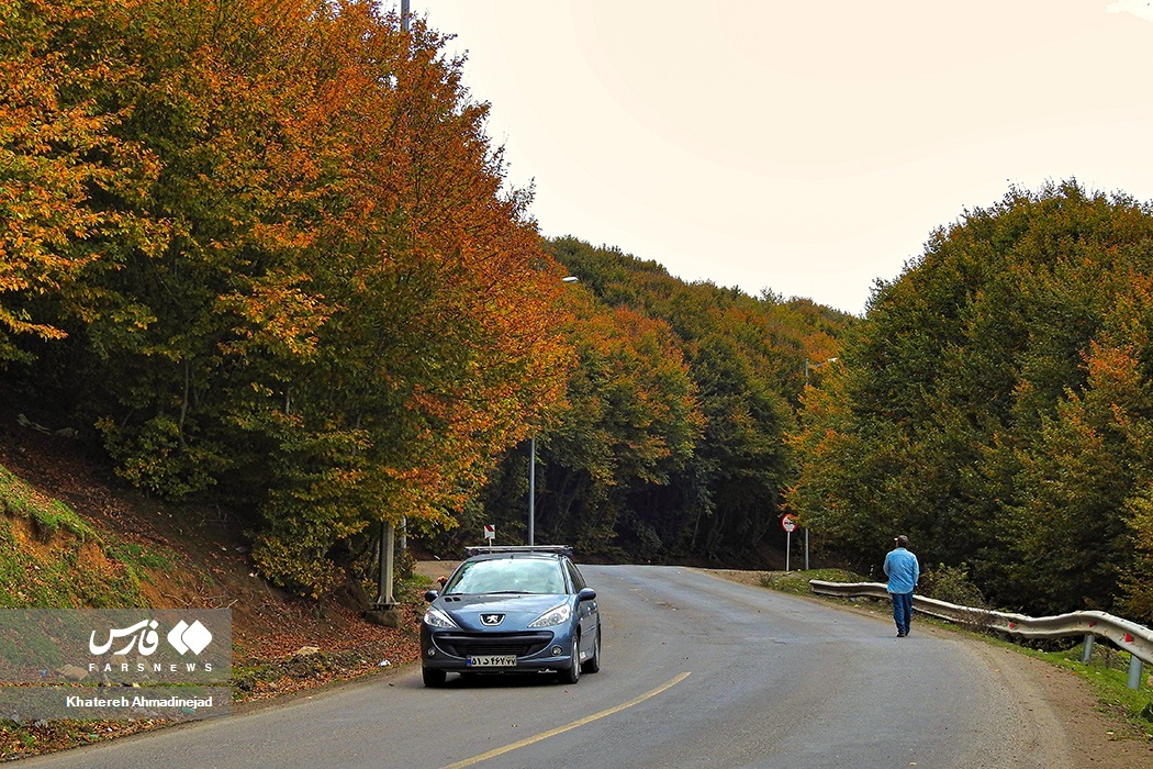 تصاویر: پاییزِ « گیلان »