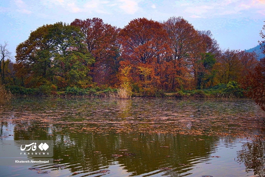 تصاویر: پاییزِ « گیلان »