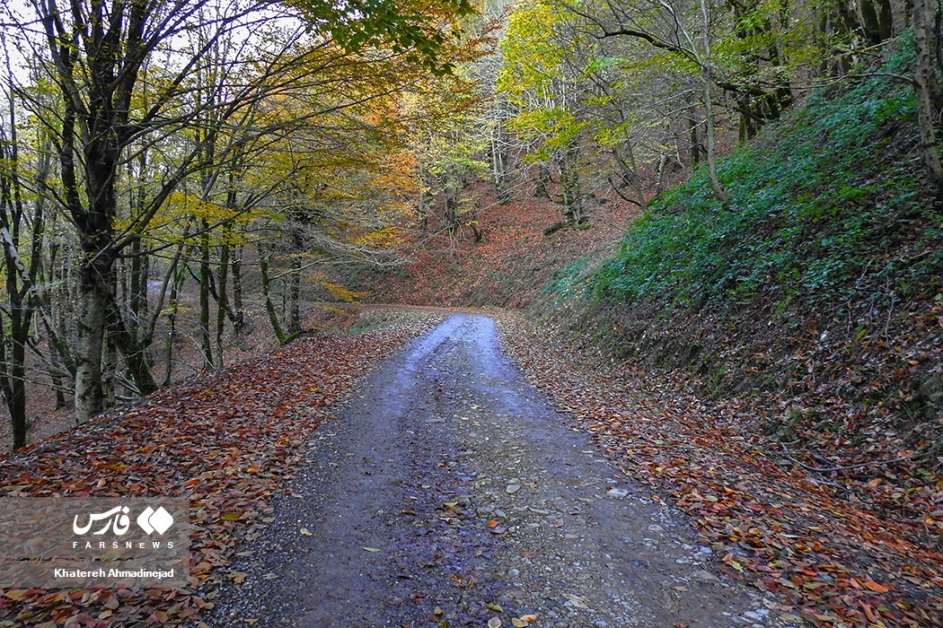 تصاویر: پاییزِ « گیلان »