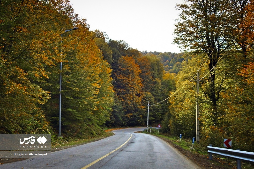 تصاویر: پاییزِ « گیلان »