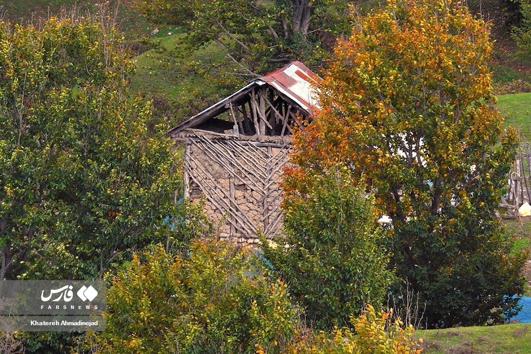 تصاویر: پاییزِ « گیلان »