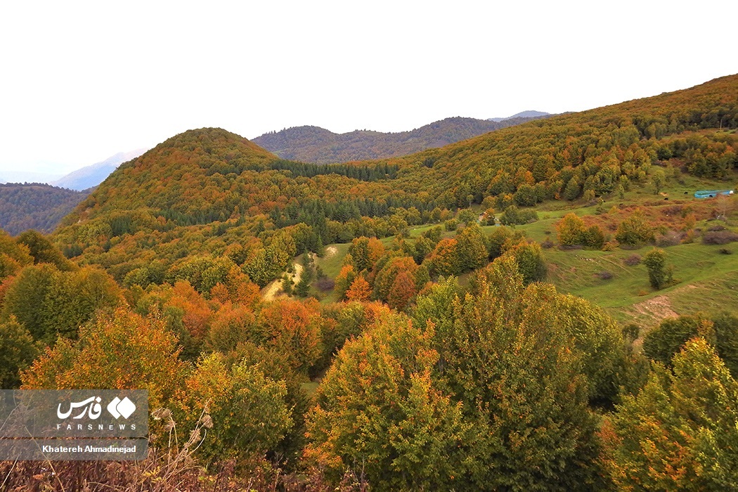 تصاویر: پاییزِ « گیلان »