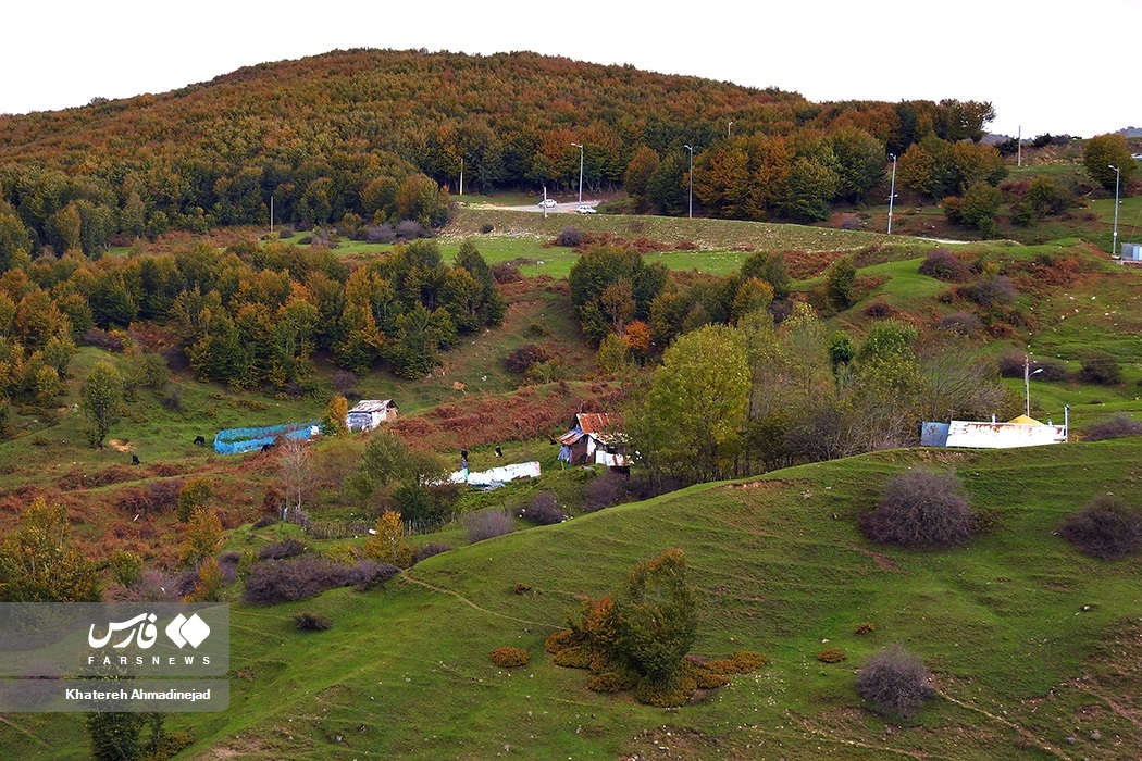 تصاویر: پاییزِ « گیلان »